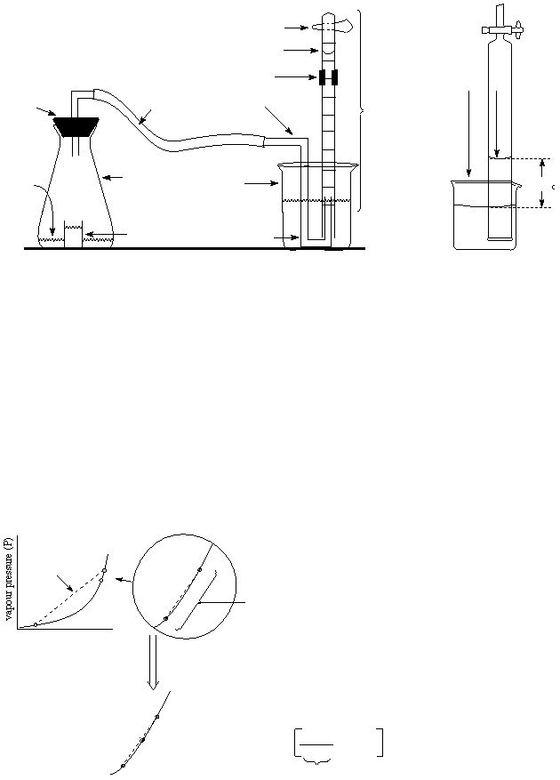 cvapour pressure (P)  